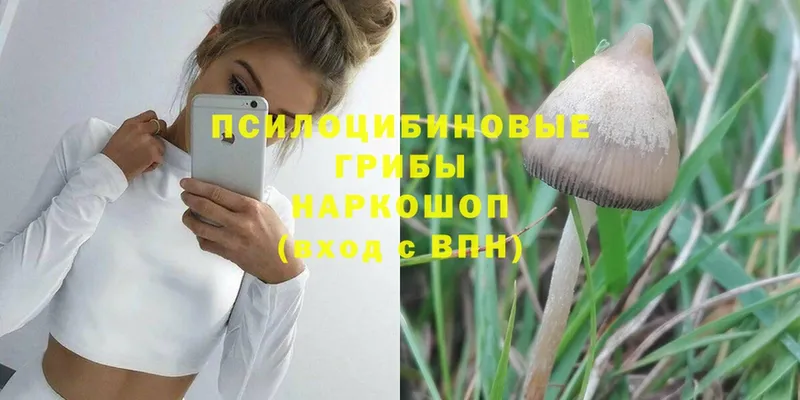 это клад  Верхняя Салда  Псилоцибиновые грибы Psilocybe  где купить наркоту 